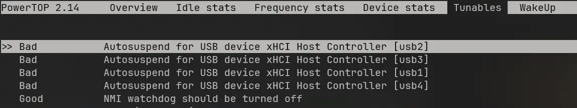 PowerTOP showing disabled USB controller autosuspend settings